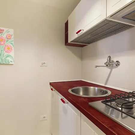 Piazza Navona Loft For 7 People 公寓